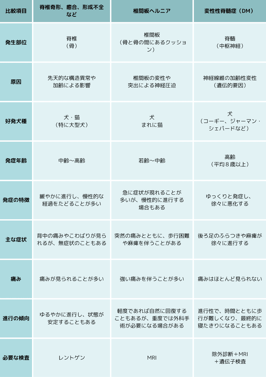 脊椎奇形・椎間板ヘルニア・変性性脊髄症（DM）の比較表。発生部位や原因、好発犬種、症状、進行の傾向、必要な検査などを項目別に解説。