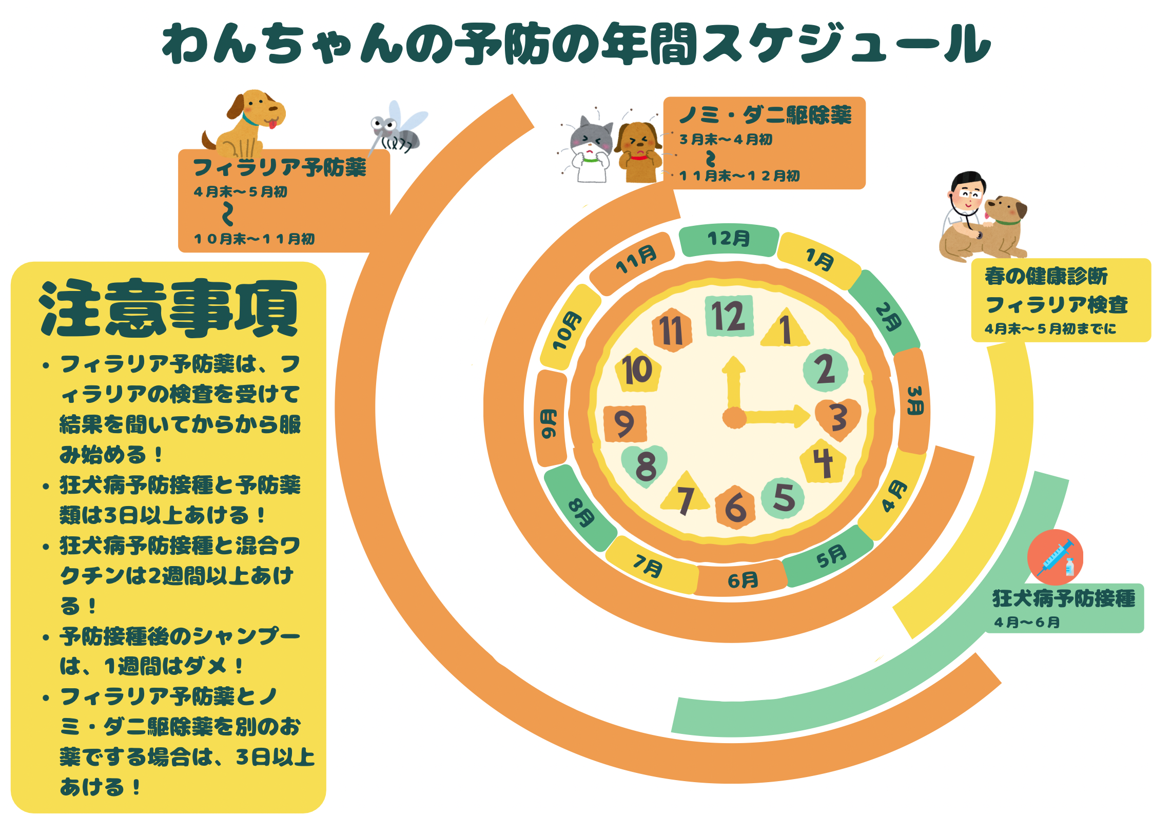 わんちゃんの予防の年間スケジュール - 世田谷区の動物病院｜池田動物